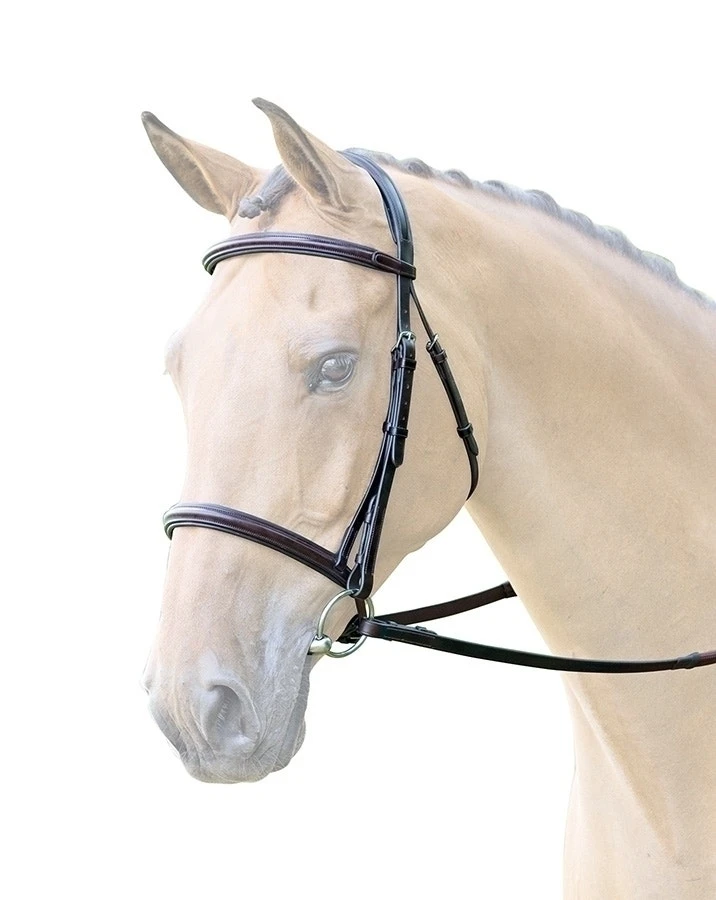 Bridleway Lavello Raised Cavesson Bridle With Reins 1 Bridleway Lavello Raised Cavesson Bridle With Reins