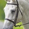 Bridleway Melton Plain Cavesson Bridle With Reins