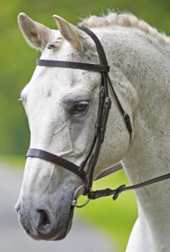 Bridleway Melton Plain Cavesson Bridle With Reins