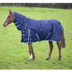Bridleways Ontario 0g Combo Turnout Rug