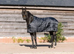 Caballo 100g Liner Rug