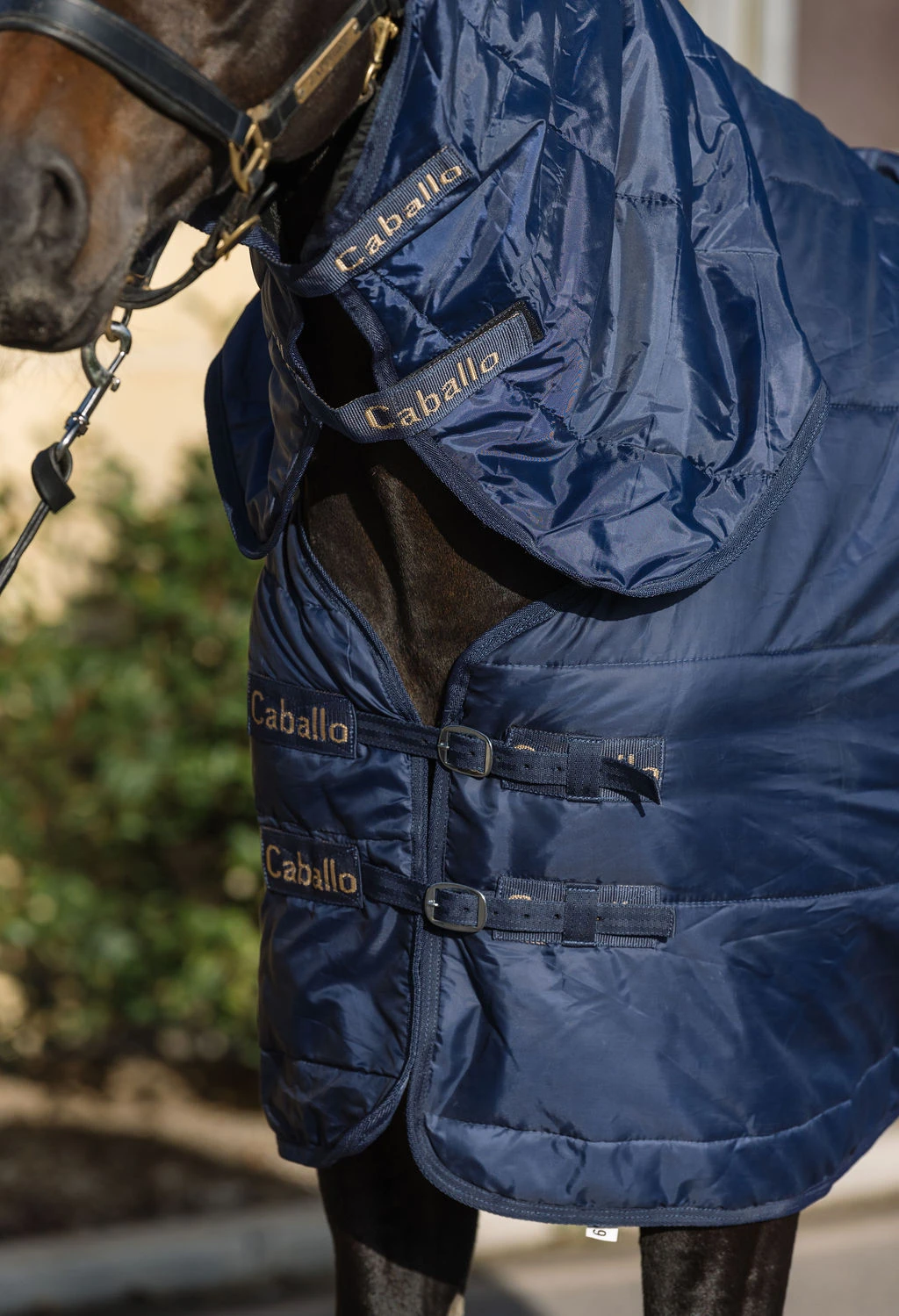 Caballo 100g Stable Rug Combo 2 Caballo 100g Stable Rug Combo - Image 2