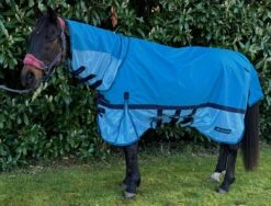 Caballo Dry-Back Fly Rug