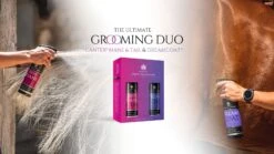 Carr Day Martin Grooming Duo Pack