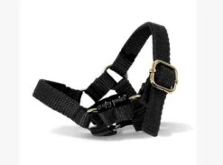 Crafty Ponies Headcollar 9 Crafty Ponies Headcollar -Tack Shop crafty ponies headcollar 13974