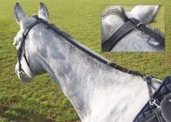 Shires Nylon Daisy Reins