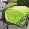 EQUI-FLECTOR Waterproof Exercise Sheet