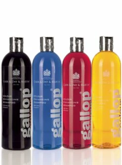 Carr Day Martin Gallop Colour Enhancing Shampoo