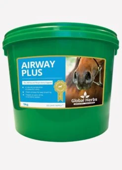 Global Herbs Airways Plus Powder