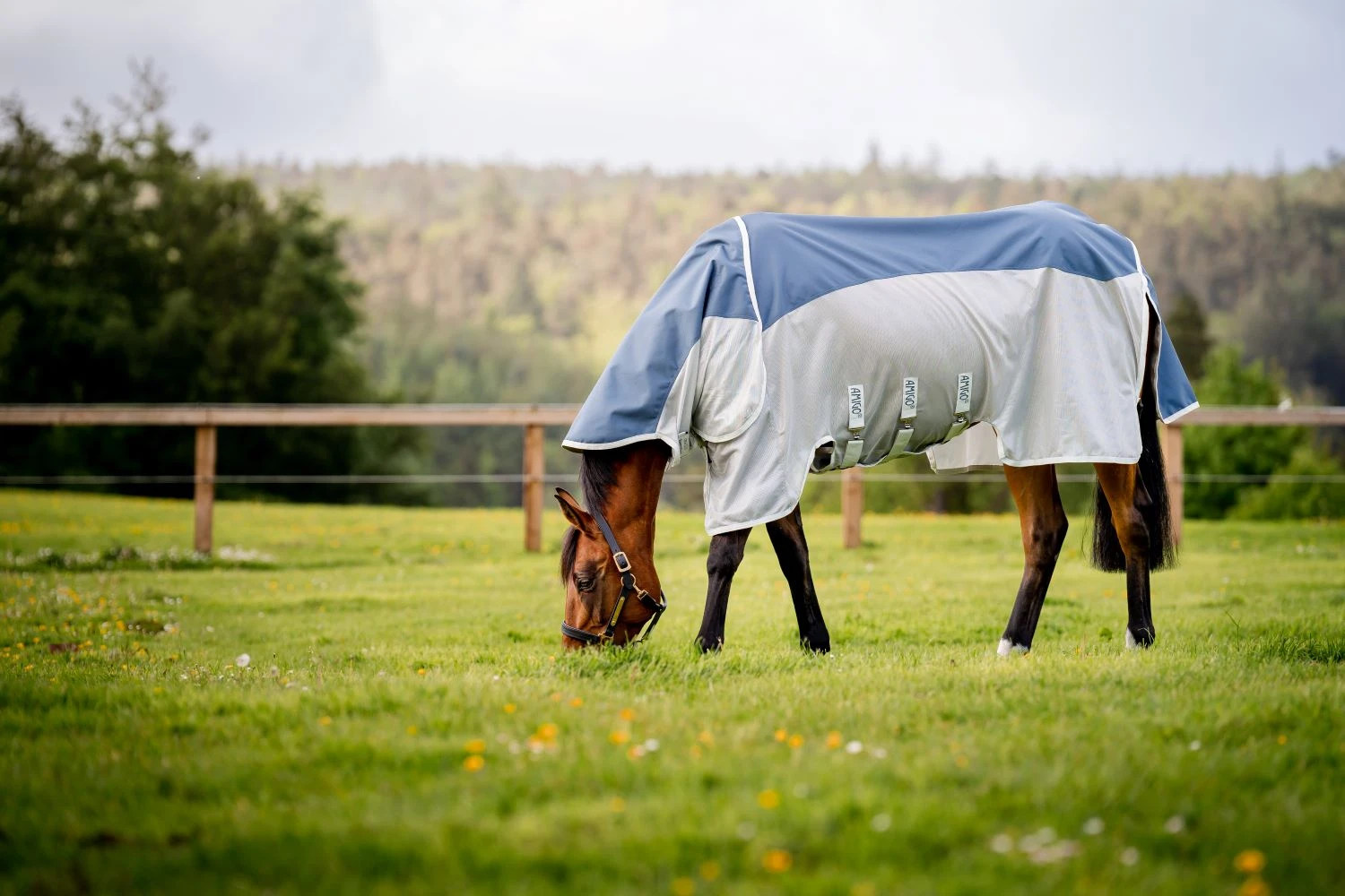 Horseware Ameco Combi Rug 1 Horseware Ameco Combi Rug