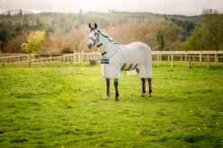 HORSEWARE AMIGO BUG BUSTER