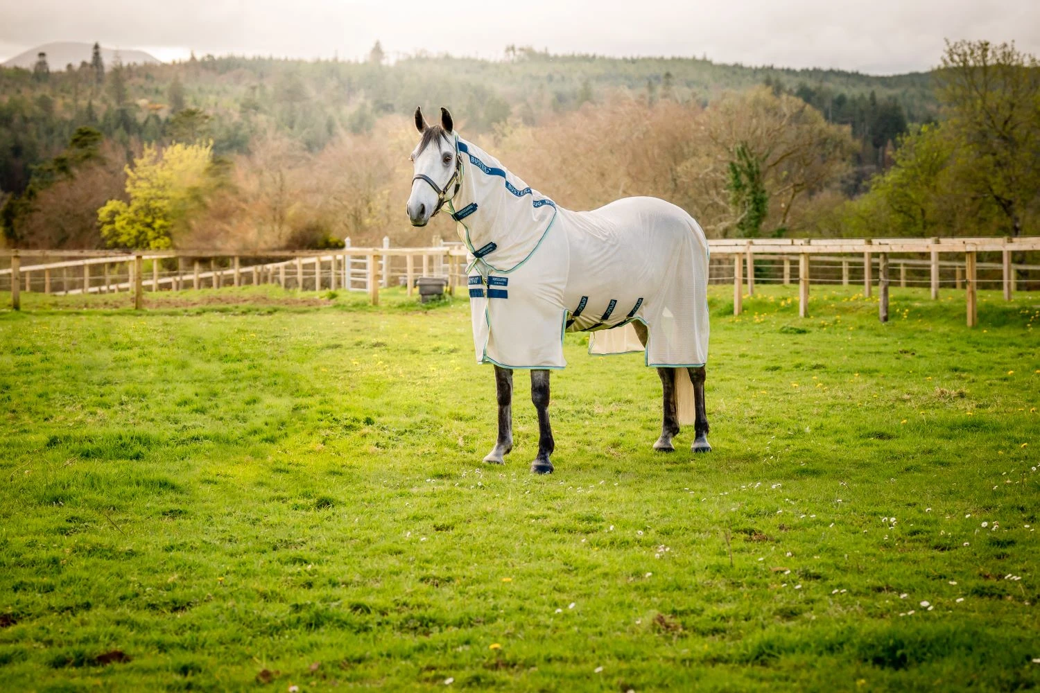 HORSEWARE AMIGO BUG BUSTER 1 HORSEWARE AMIGO BUG BUSTER