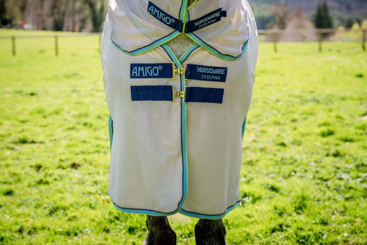 HORSEWARE AMIGO BUG BUSTER 3 HORSEWARE AMIGO BUG BUSTER - Image 3