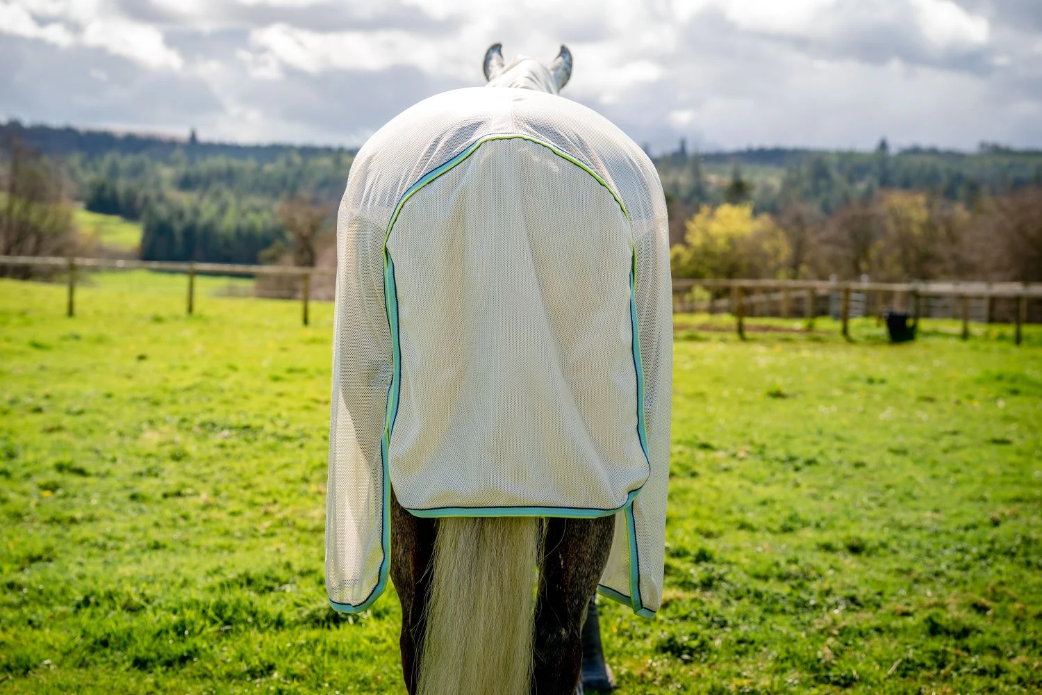 HORSEWARE AMIGO BUG BUSTER 4 HORSEWARE AMIGO BUG BUSTER - Image 4