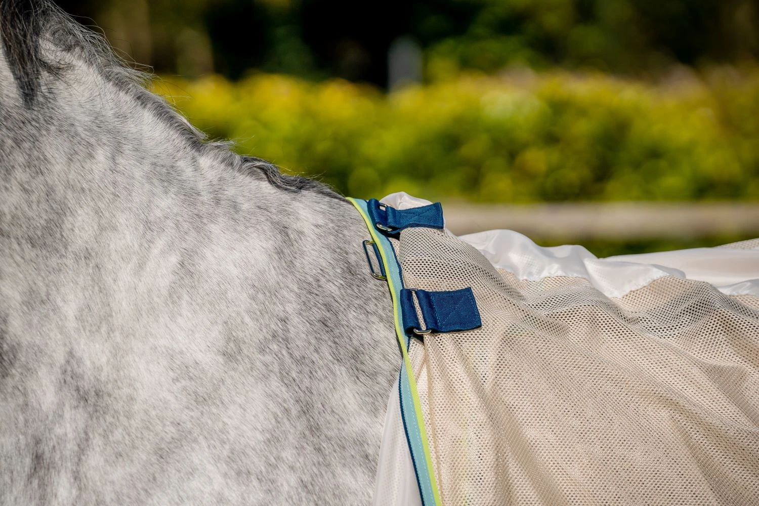 HORSEWARE AMIGO BUG BUSTER 7 HORSEWARE AMIGO BUG BUSTER - Image 7