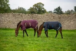 Horseware Amigo Ripstop Foal Rug 200g Turnout