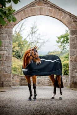Horseware Dry Liner
