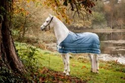 Horseware Eco Liner 100 Or 200