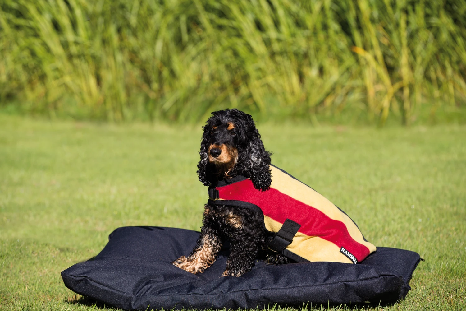Horseware Rambo Newmarket Deluxe Fleece Dog Rug 1 Horseware Rambo Newmarket Deluxe Fleece Dog Rug