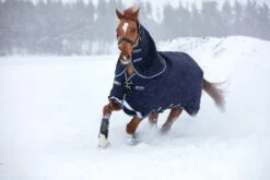 Horseware Rambo Duo Turnout