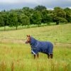 Horseware Rhino 100g Plus Turnout
