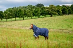 Horseware Rhino 100g Plus Turnout