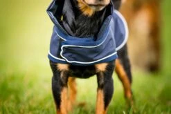 HORSEWARE SIGNATURE DOG RAIN COAT -Tack Shop horseware signature dog rain coat 16712