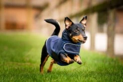 HORSEWARE SIGNATURE DOG RAIN COAT -Tack Shop horseware signature dog rain coat 16714