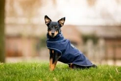 HORSEWARE SIGNATURE DOG RAIN COAT