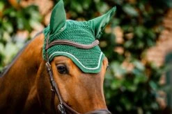 HORSEWARE SIGNATURE EAR NET -Tack Shop horseware signature ear net 16730