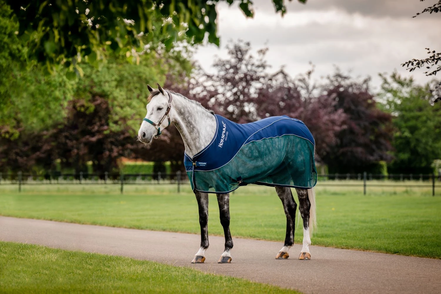 HORSEWARE SIGNATURE SPORT COOLER 1 HORSEWARE SIGNATURE SPORT COOLER