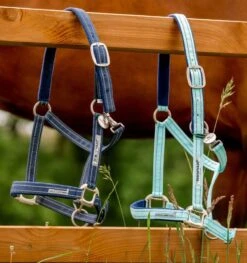 HW SIGNATURE FIELD SAFE HEADCOLLAR