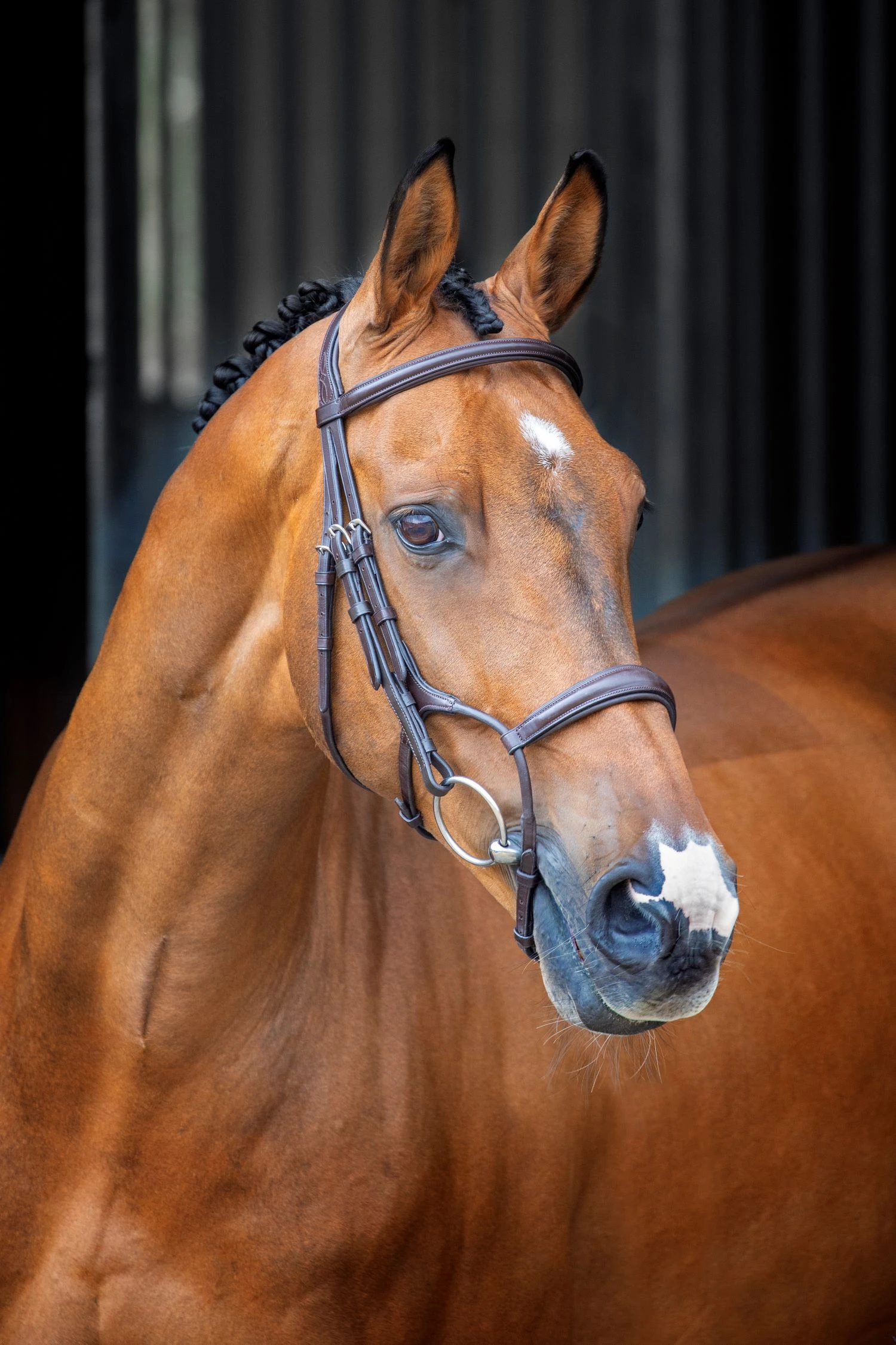 Lusso Rolled Padded Cavesson Bridle 1 Lusso Rolled Padded Cavesson Bridle