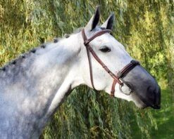 QHP ANTI-FLY NOSE PROTECTION