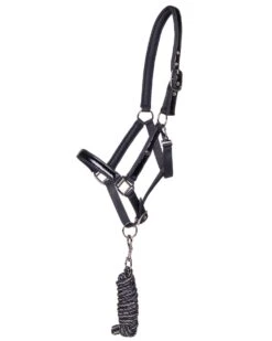 QHP DJUNE HEADCOLLAR SET