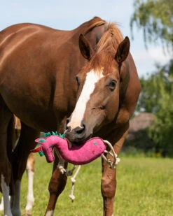 Qhp Horse Toy
