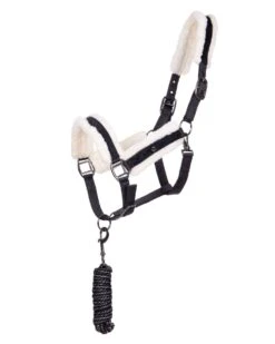 Qhp Julin Headcollar Set