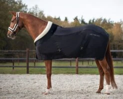 Qhp Julin Show Rug