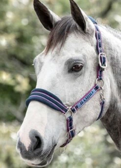 Horseware Rambo Padded Headcollar 5 Horseware Rambo Padded Headcollar -Tack Shop rambo padded headcollar 14792