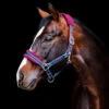 Horseware Rambo Padded Headcollar