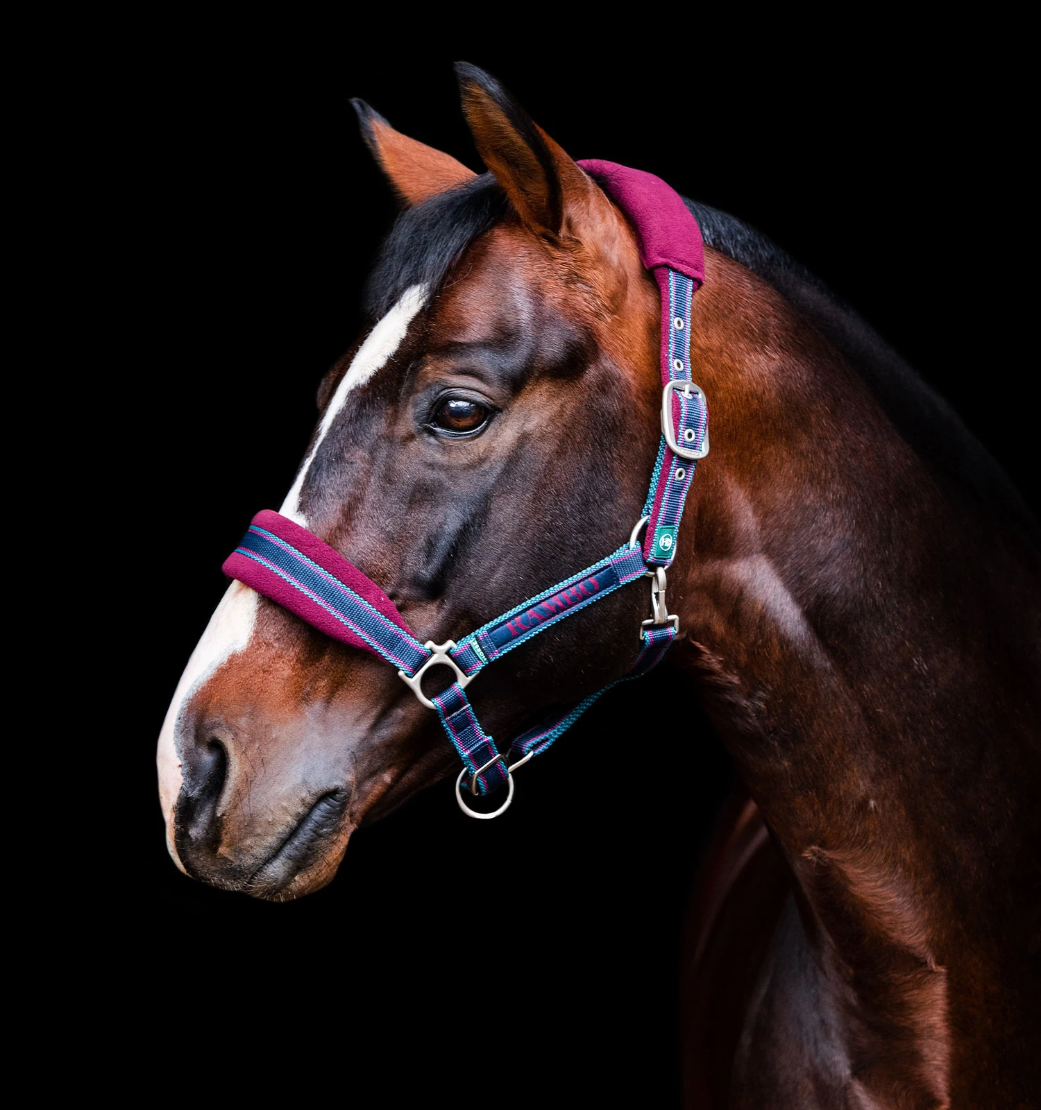 Horseware Rambo Padded Headcollar 1 Horseware Rambo Padded Headcollar