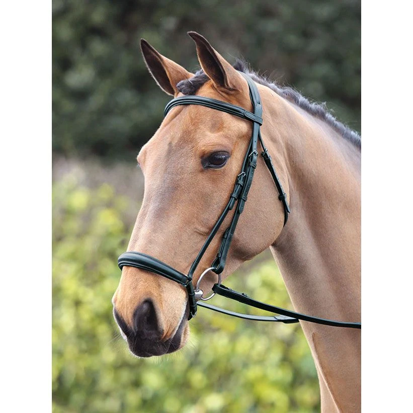 Bridleway Lavello Drop Noseband Bridle 1 Bridleway Lavello Drop Noseband Bridle