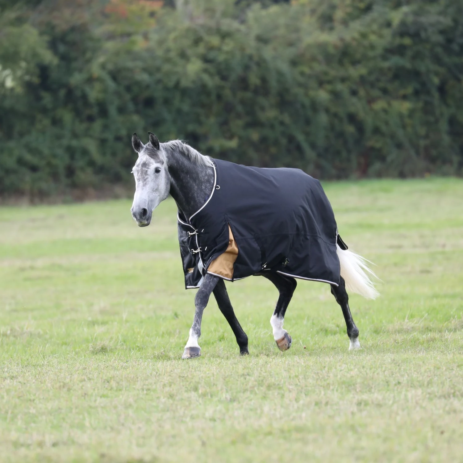 Shires Highlander Plus 200 Turnout Rug 1 Shires Highlander Plus 200 Turnout Rug