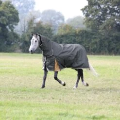 Shires Highlander Plus 50 Combo Turnout Rug
