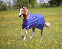 Shires Tempest Original Air Motion Turnout Rug