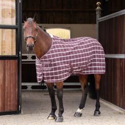 Shires Tempest Original Stable Sheet -Tack Shop shires tempest original stable sheet 16588