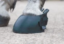 ARMA Temporary Shoe Boot