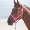 Topaz Nylon Headcollar