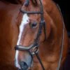 Velociti RAPIDA Ergonomic Flash Bridle