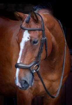 Velociti RAPIDA Ergonomic Flash Bridle